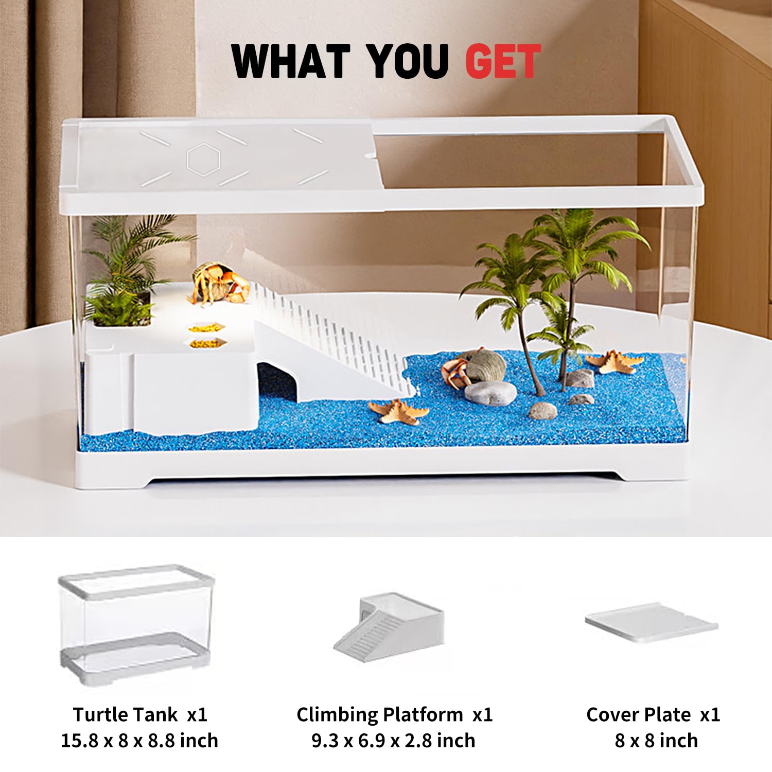 Acquario per tartarughe con drenaggio sul fondo, 40 x 20 x 22,5 cm, per tartarughe giovani, gamberi di fiume, granchi, anfibi e rettili - 3