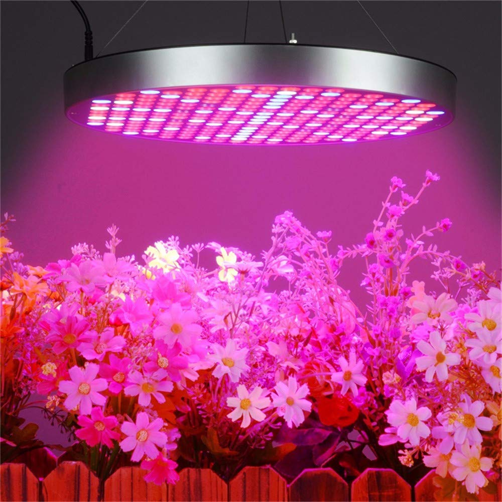 LED Plant Grow Light, lámpara de Planta de Interior de Espectro Completo UFO50W para el Sistema hidropónico de Plantas Vegs Luz de Piso para Plantas de Doble Chip de Interior,USPlug
