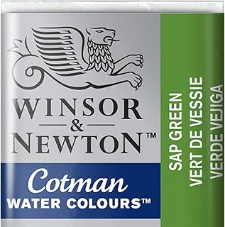 Winsor & Newton Cotman Aquarelle 1/2 Godet Vert De Vessie