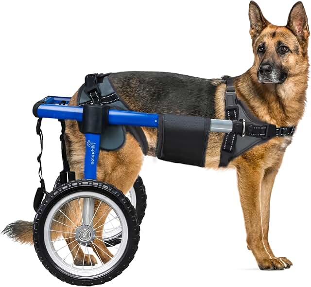 Dog Wheelchair For Back Legs
