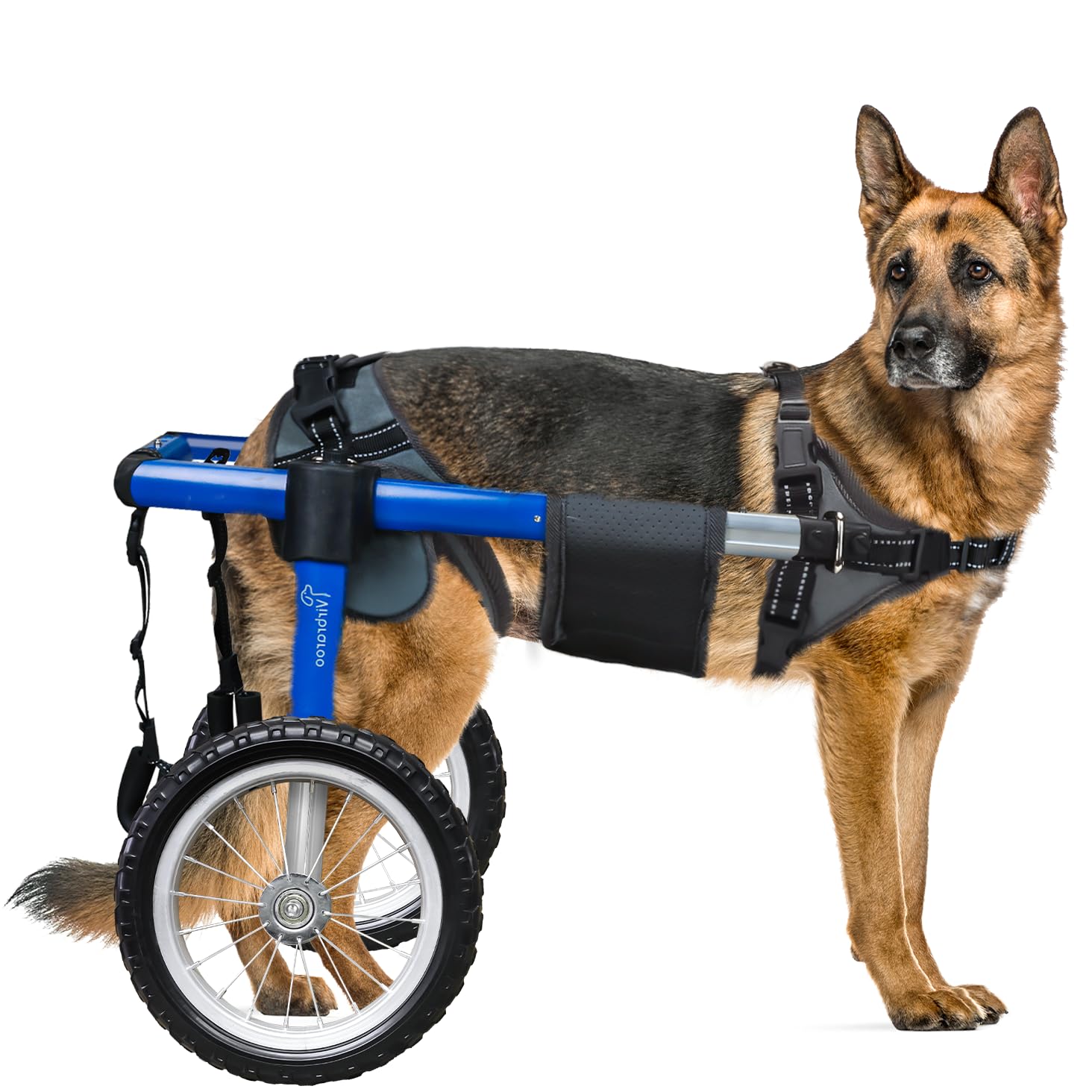 Amazon.com : Virbraroo Dog Wheelchair for Back Legs, Dog