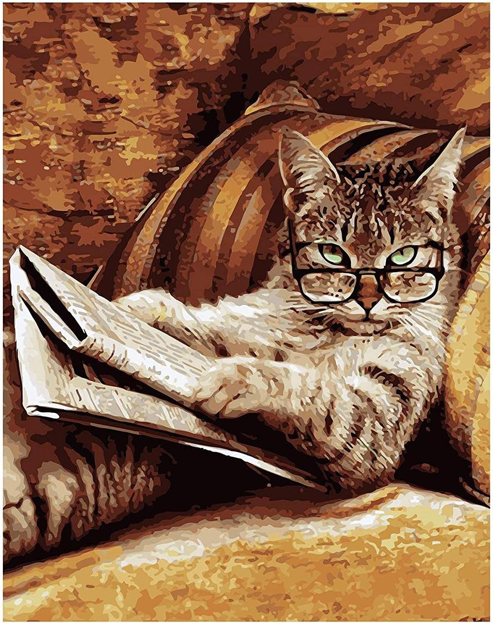 HNXSY DIY Digital painting set, colorful acrylic paint oil painting, suitable for children, students, beginners, adults, home decoration gifts