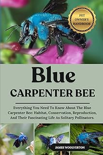 BLUE CARPENTER BEE: Everything You Need To Know About The Blue Carpenter Bee: Habitat, Conservation, Reproduction, And Their Fascinating Life As Solitary Pollinators.
