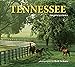 Tennessee Impressions
