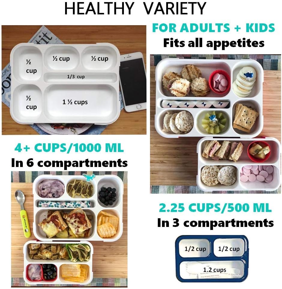 kinsho Bento Lunch-Box Set for Kids includes Snack Container | 6 and 3 Compartment Boxes Leakproof School Bentos, Meal Portion Control Containers, Boys Girls Adults, Navy Blue Large + MINI 2 Pack Set