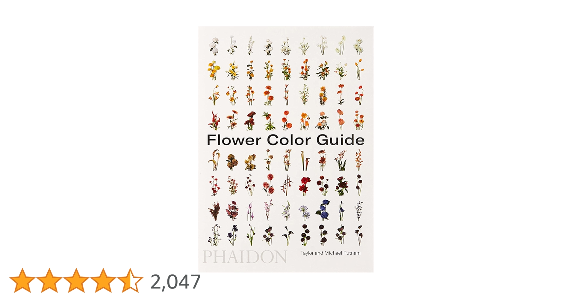 71CpfF7sxVL.jpg_BO30,255,255,