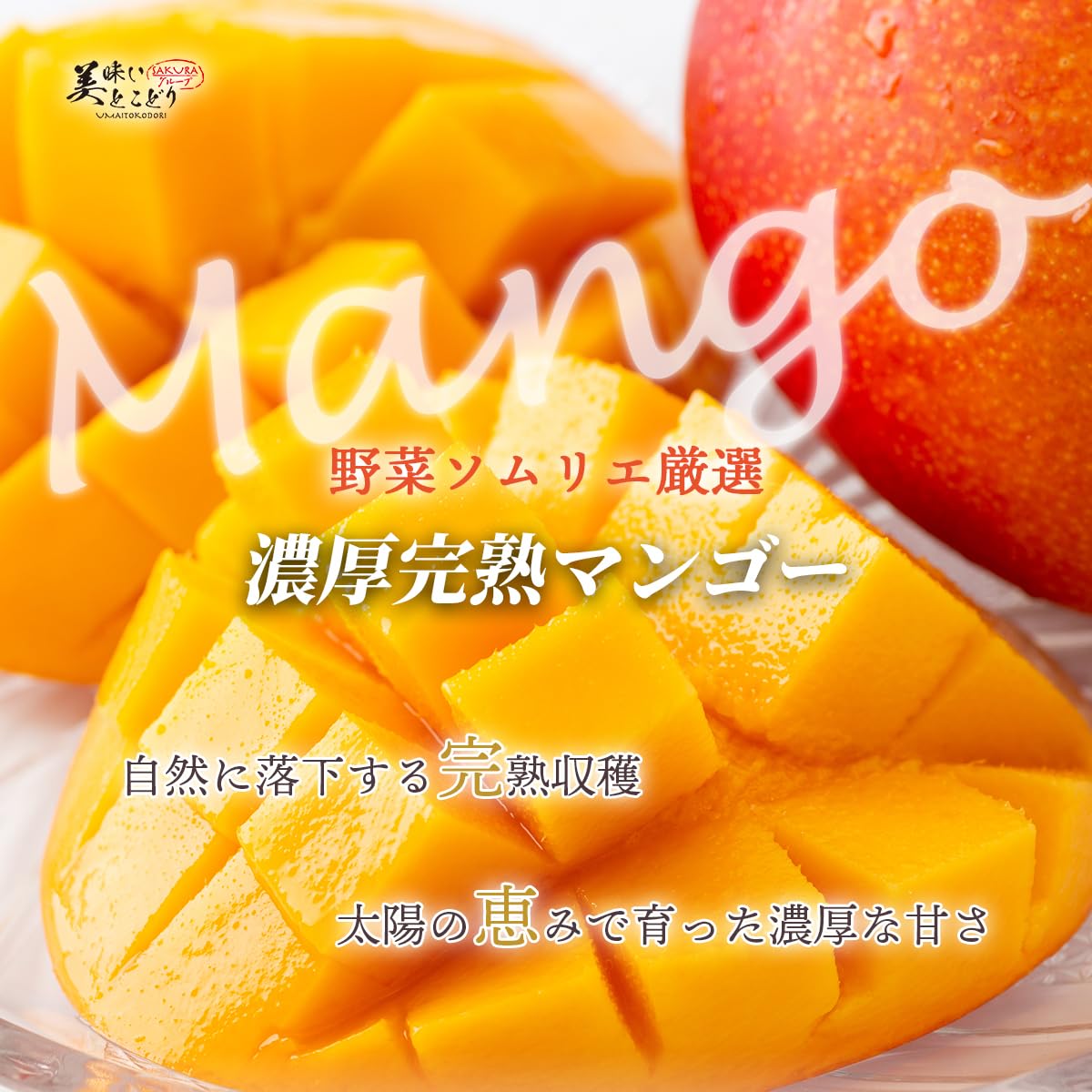 Amazon.co.jp: 最高級 宮崎産完熟マンゴー 赤秀 Lサイズ300グラム×2個