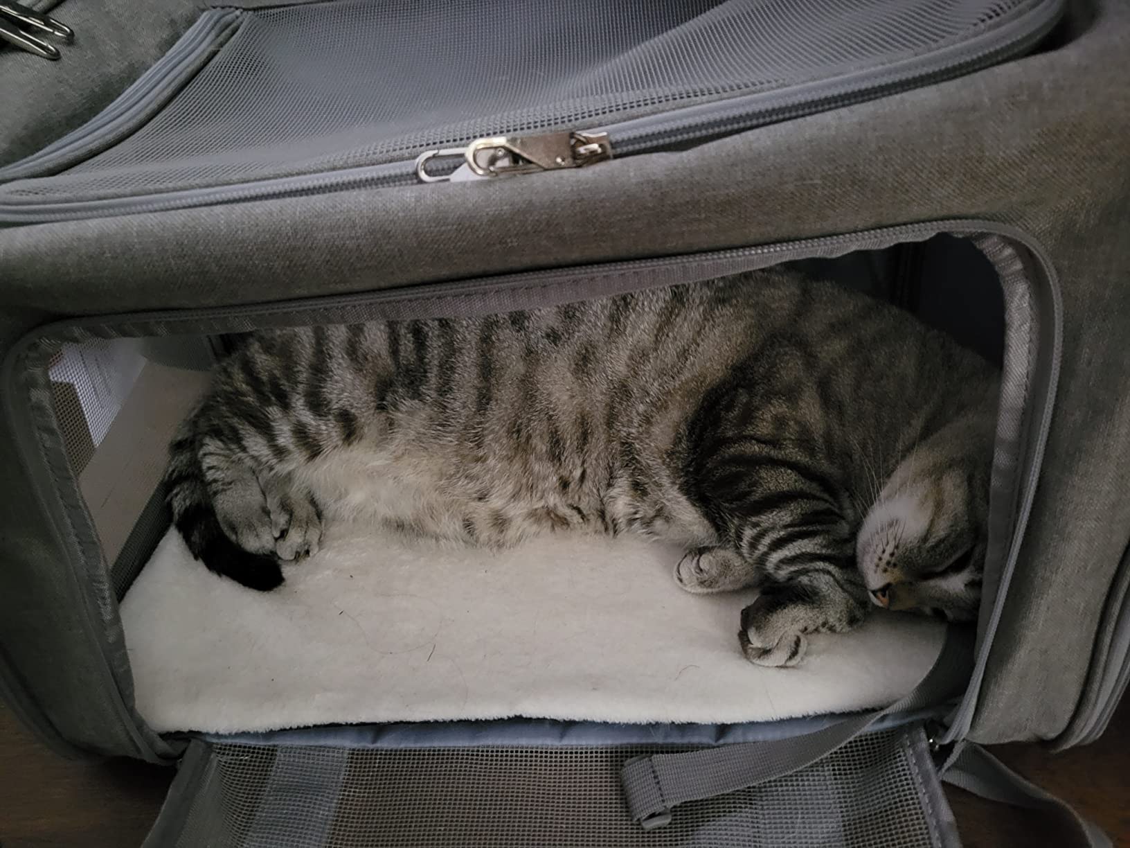 4/mo Finance Echohana Cat Carrier, Airline Approved Pet Carrier for