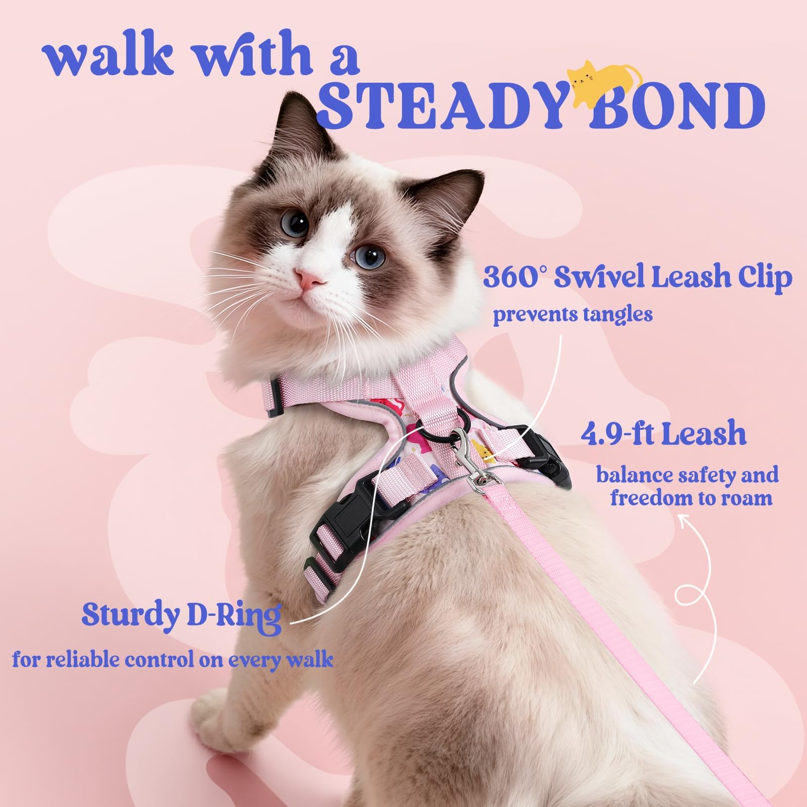 View 5