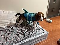 Review Image by Kathina Molina Kathina Molina