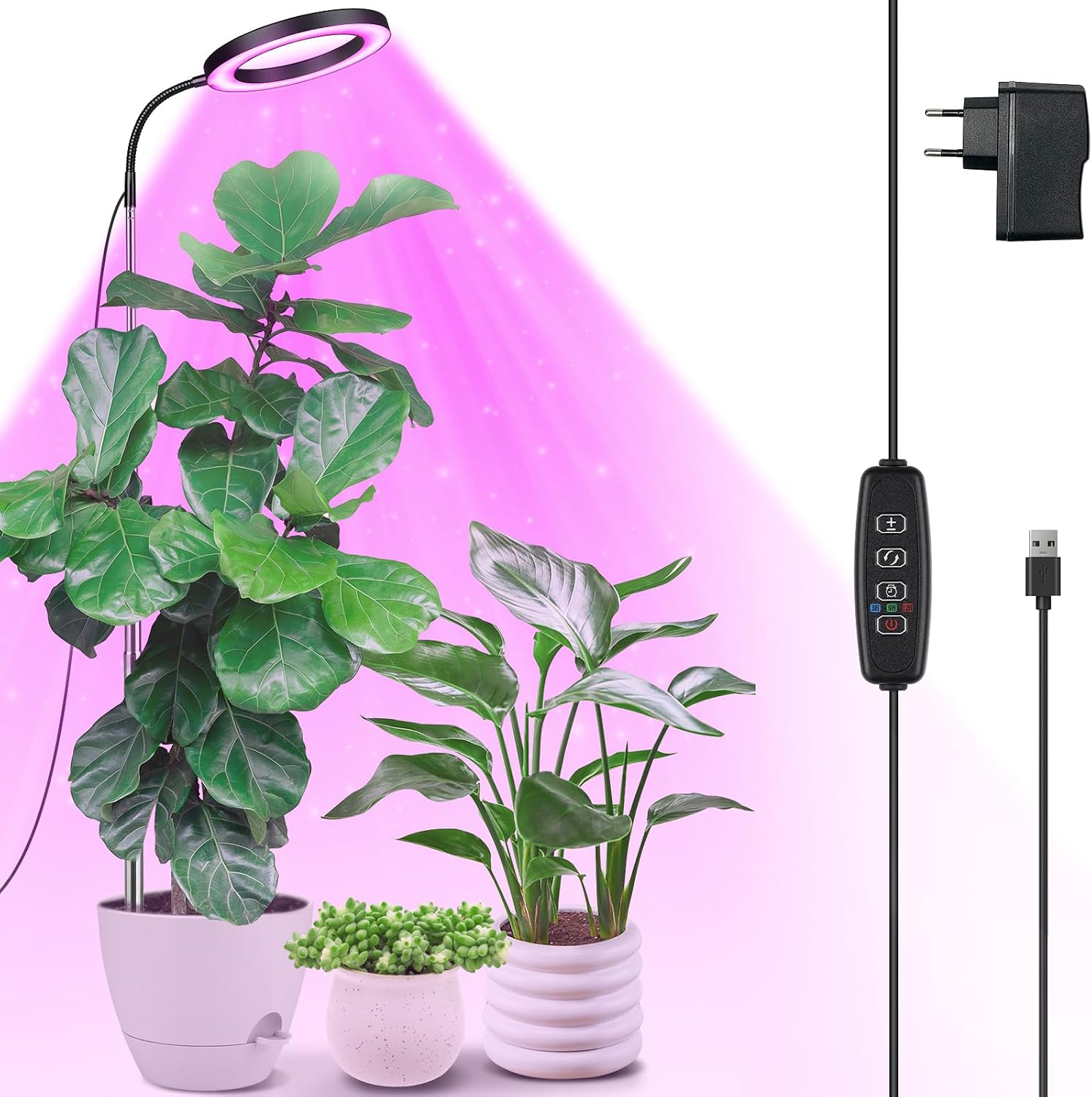 bio saatgut fr sprossen Bio-Sprossen Samen-Set Mild (4 Sorten) kaufen
