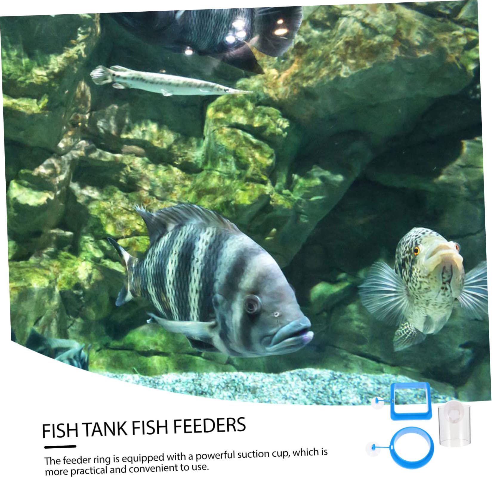 Happyyami 9stücke Teiliges Fischfutterringe Schwimmende Futterspender Für Aquarien Geeignet Für Garnelen Und Tropische Fische Installieren Design Für Süß Und Salzwasser