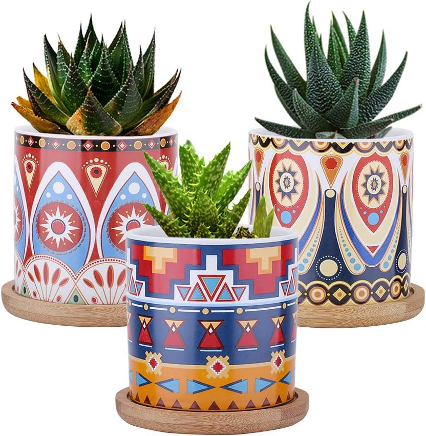 vaso in ceramica per piante