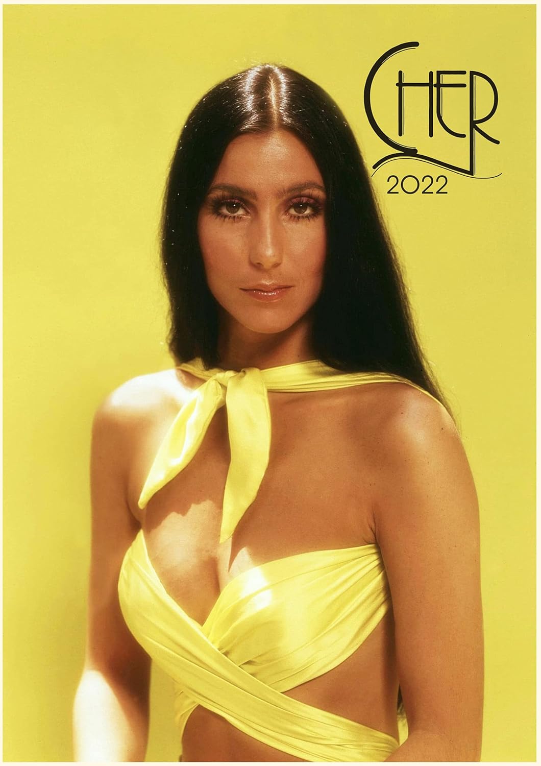 Cher Schedule 2022 Wall Calendar 2022 [12 Pages 20X30Cm] Cher Vintage Music Posters Photos  Magazine Covers : Amazon.co.uk: Stationery & Office Supplies