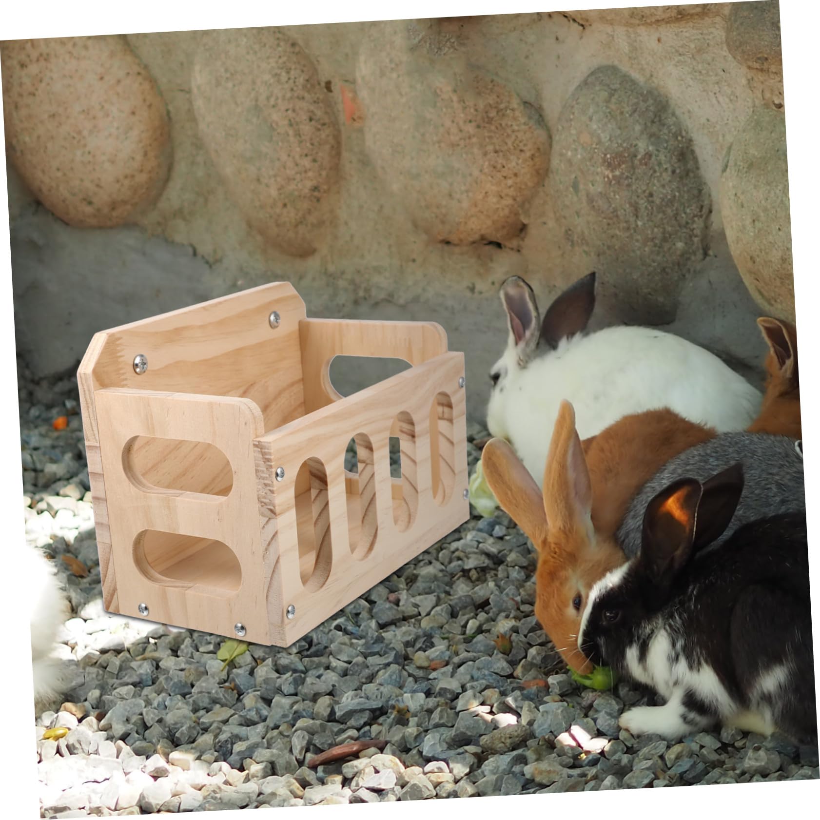 Mikikit Mangiatoia in Legno Design Cavo Anti Spreco Facile da Installare per Conigli e Porcellini D'india Adatta per Gabbia Pet