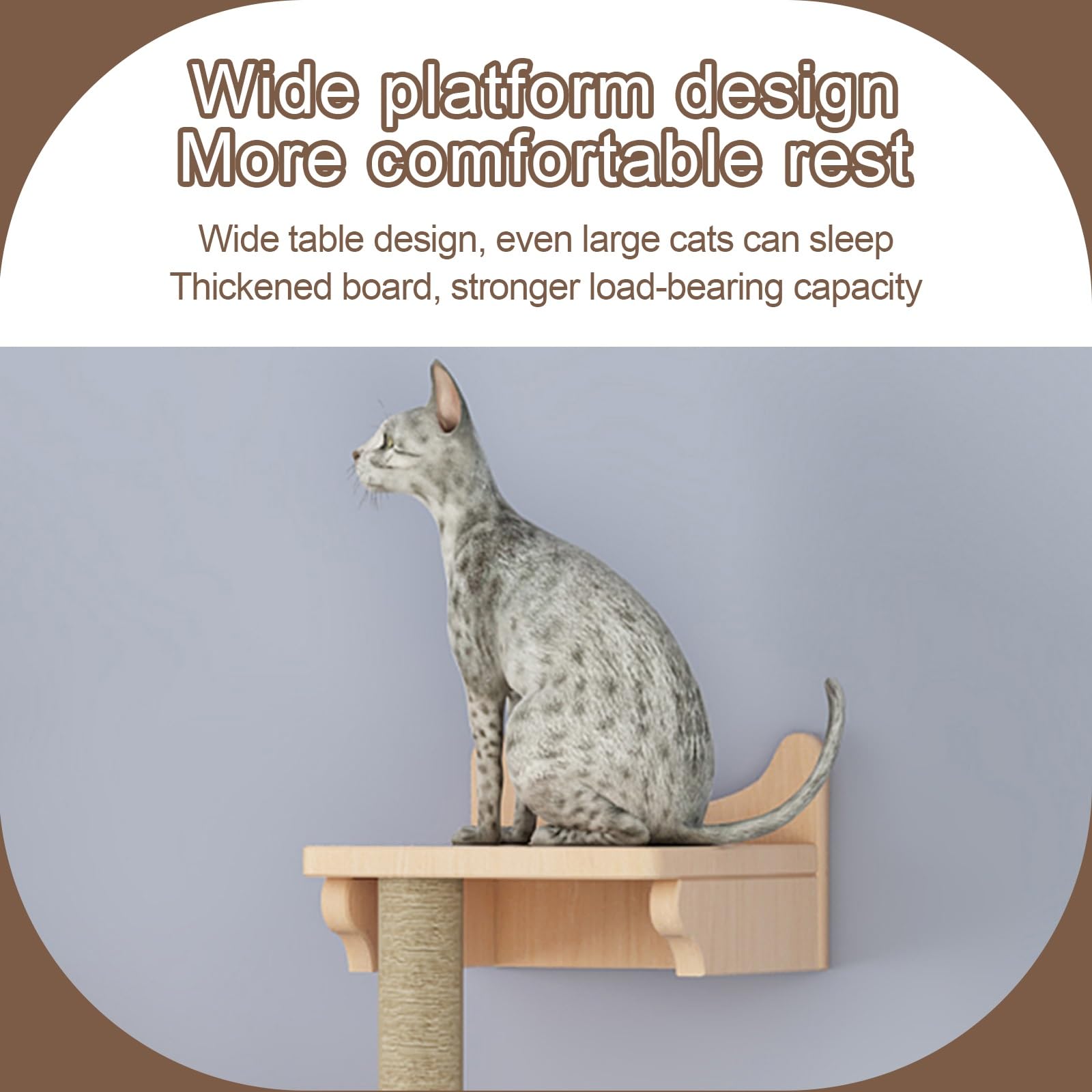 Mensole Gatti, Struttura per Arrampicata Facile da Pulire, Tiragraffi per Gatti, Centro attività per Gatto Che Non Occupa Spazio(7pcs)