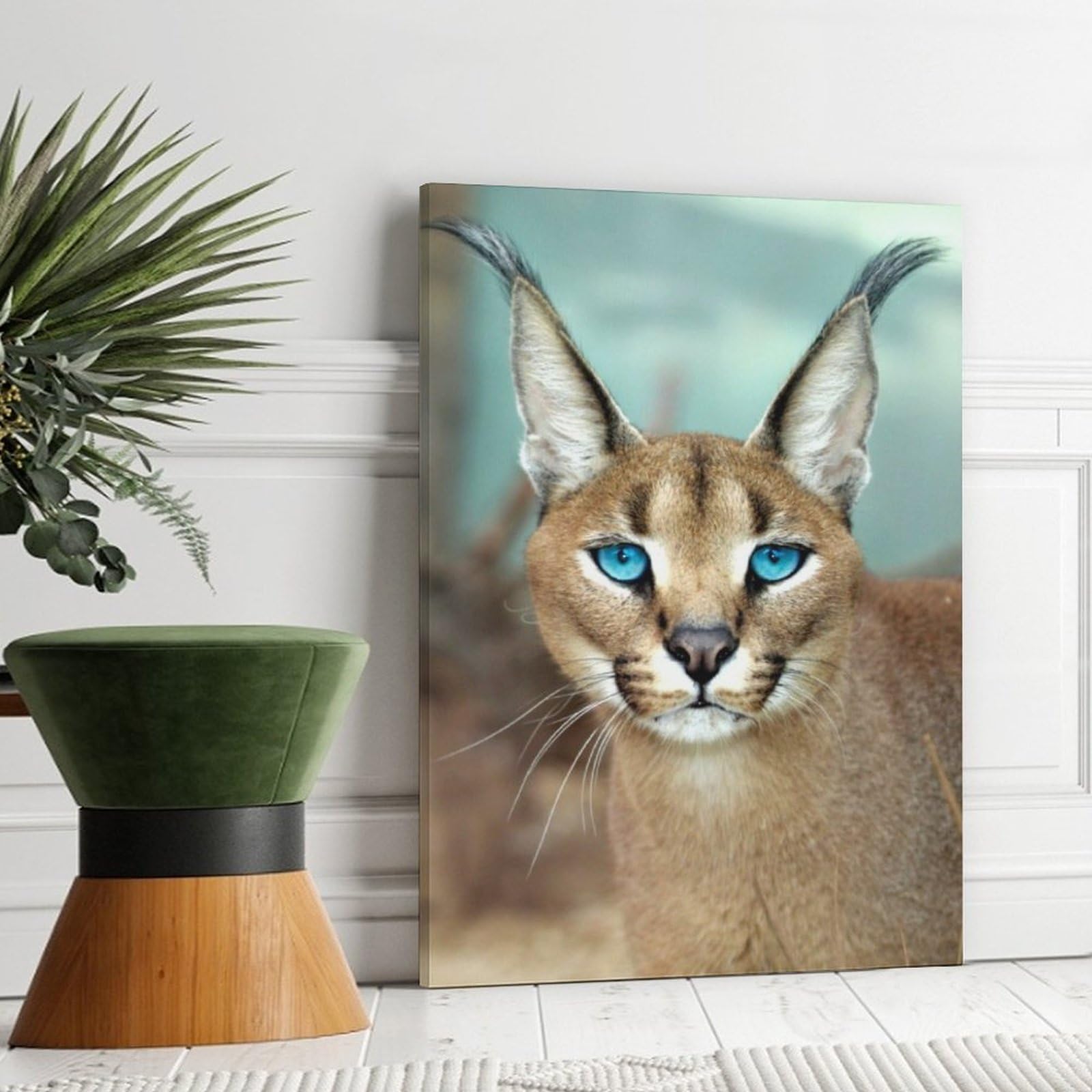 Amazon.com: Caracal Lynx Blue Eyes Room Aesthetics Posters Canvas