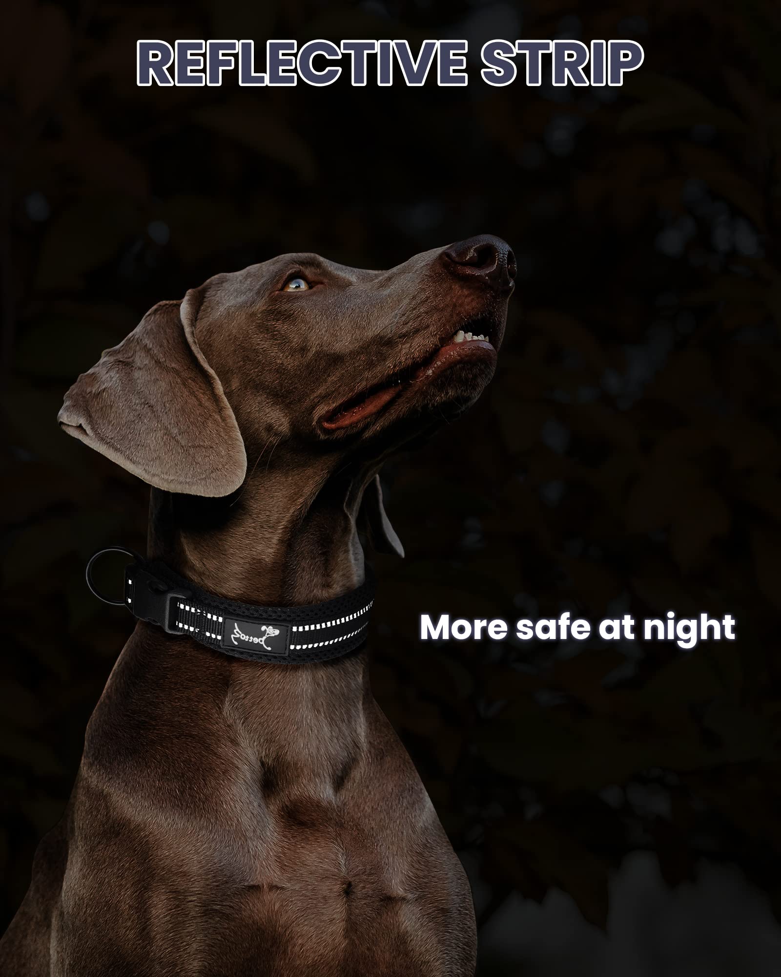 PETTOM Collare Cane Cani Cuccioli Piccola Taglia Media Grande con Targhetta Nome Riflettente Morbido Regolabile Imbottito Sicurezza Nylon Morbido Resistente Traspirante (Nero S)