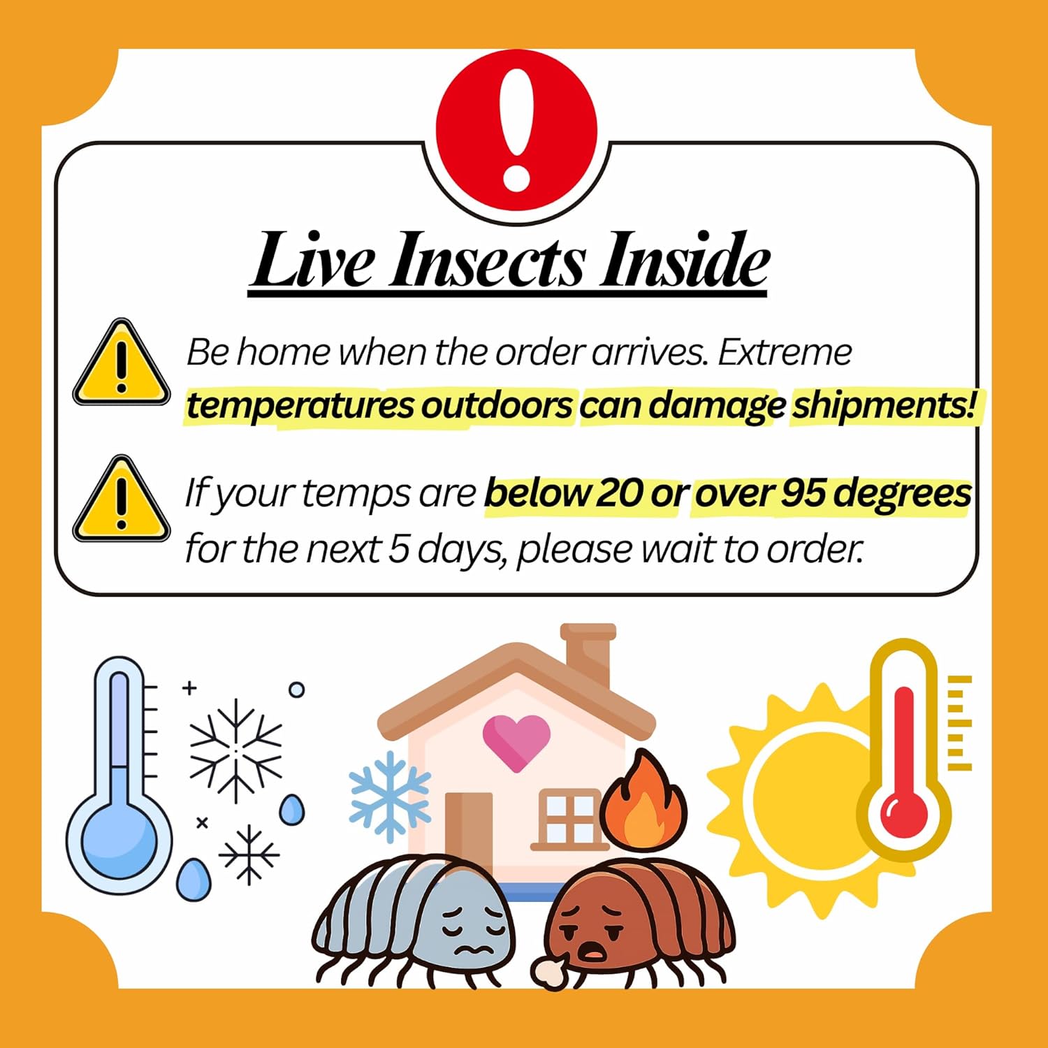 50 Powder Orange Isopods | 8oz Coco Temperate Springtails | Live Arrival Nationwide!