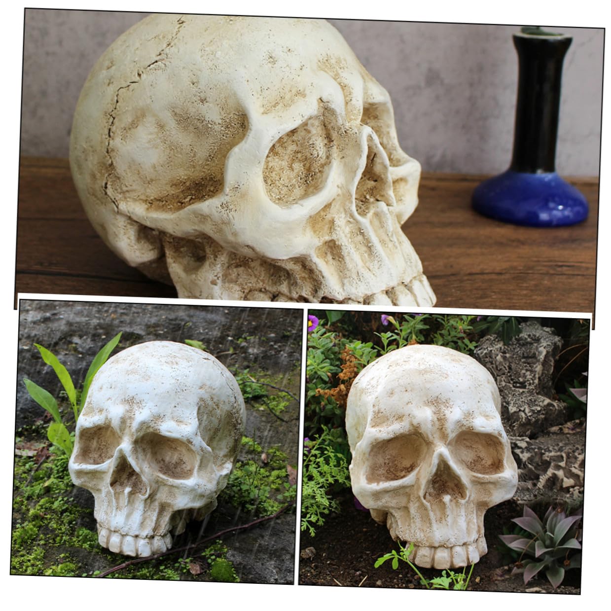 Levemolo Realistyczna Dekoracja Czaszki z Żywicy Halloween Symulowana Głowa Szkieletu Ozdoba Do Wnętrz i Ogrodów Idealna Do Imprez i Dekoracji Strasznych Miejsc