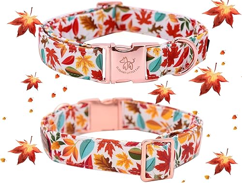 Miniatura 3 de Elegant little tail Collar de perro de flores para perros hembras o machos, collar ajustable para mascotas de otoño con regalo de flores para perros
