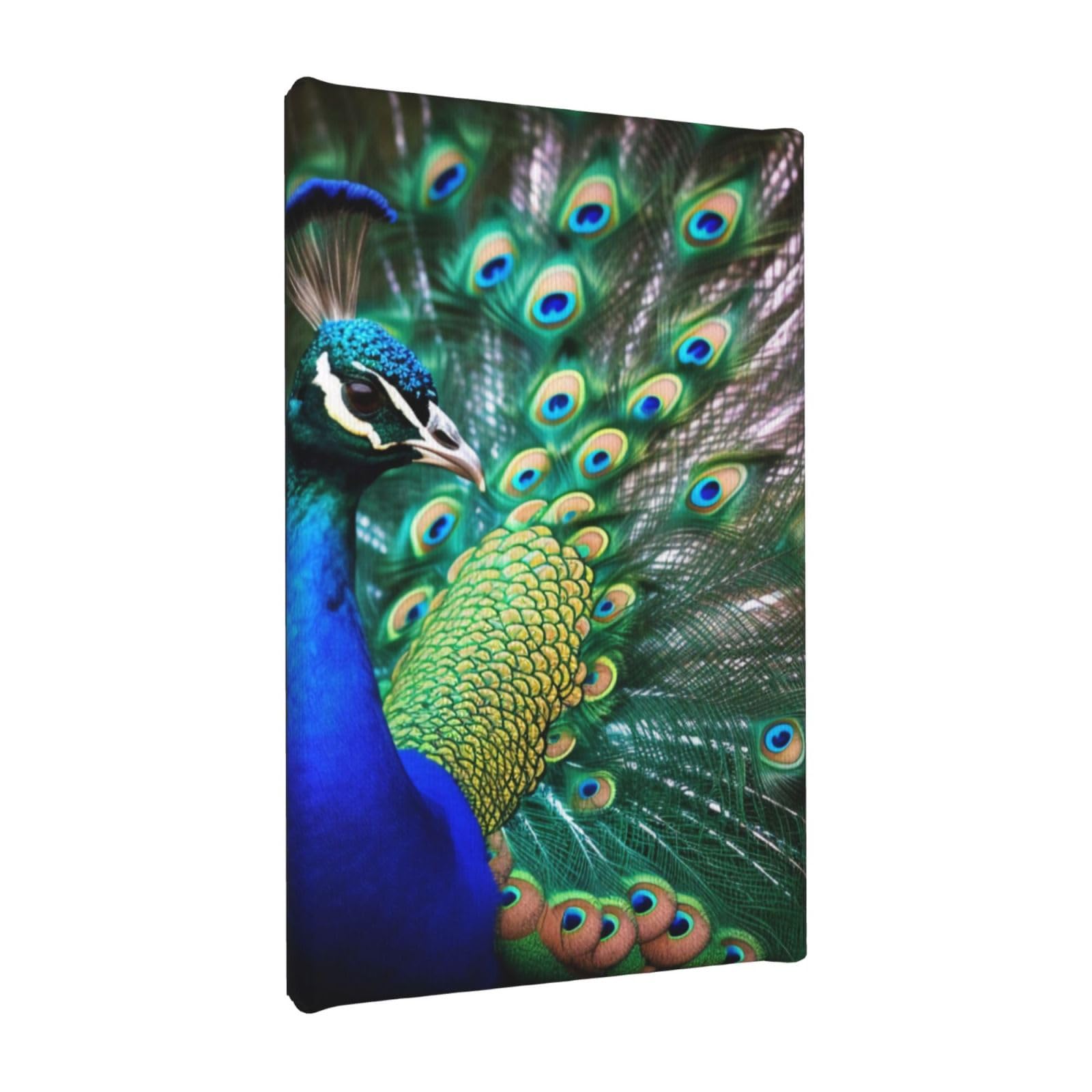 YKLJG Beautiful peacock Printed Wall Art Canvas Painting 20x30 CM Wooden Framed Picture Painting Artwork Prints for Bedroom Kitchen Home Office Decor