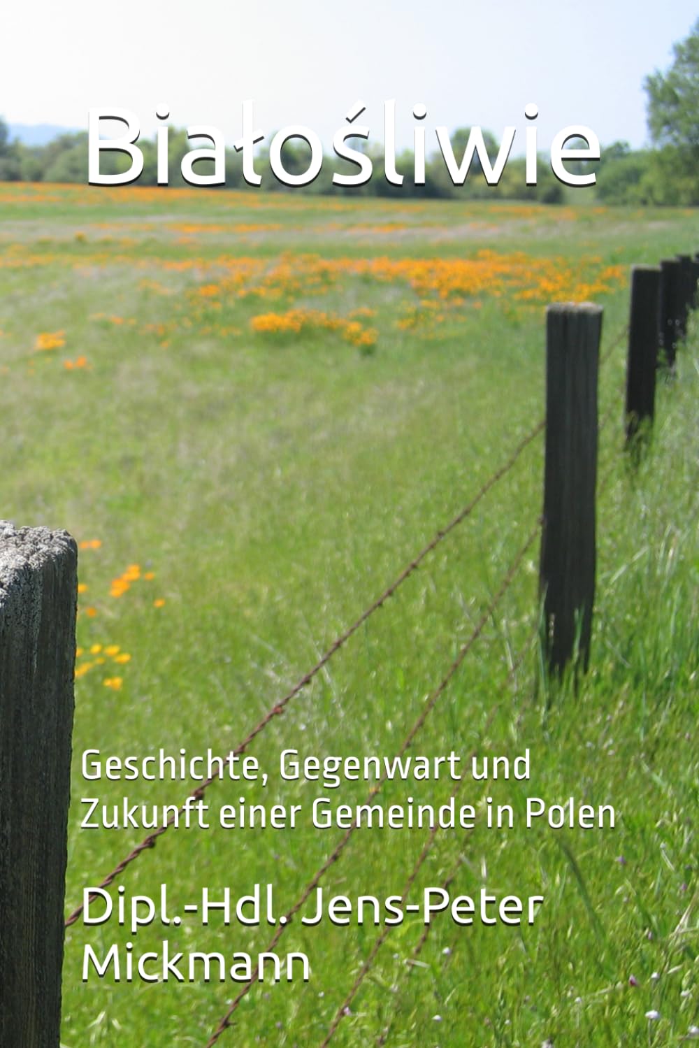 Białośliwie: Geschichte, Gegenwart und Zukunft einer Gemeinde in Polen