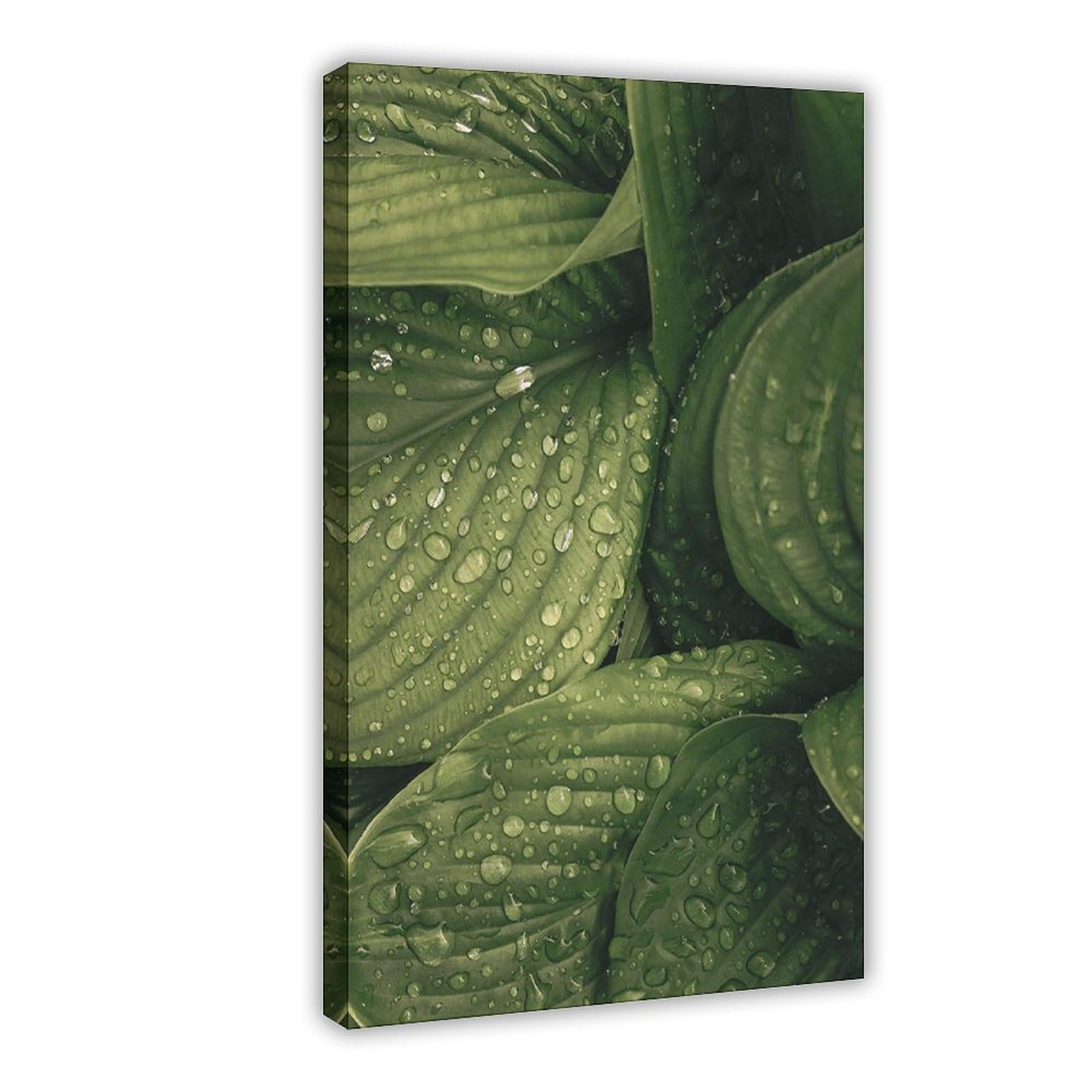Bareronor Raindrops Botanical Canvas Poster Bedroom Decor Landscape Office Room Decor Gift 24" L X 36" W