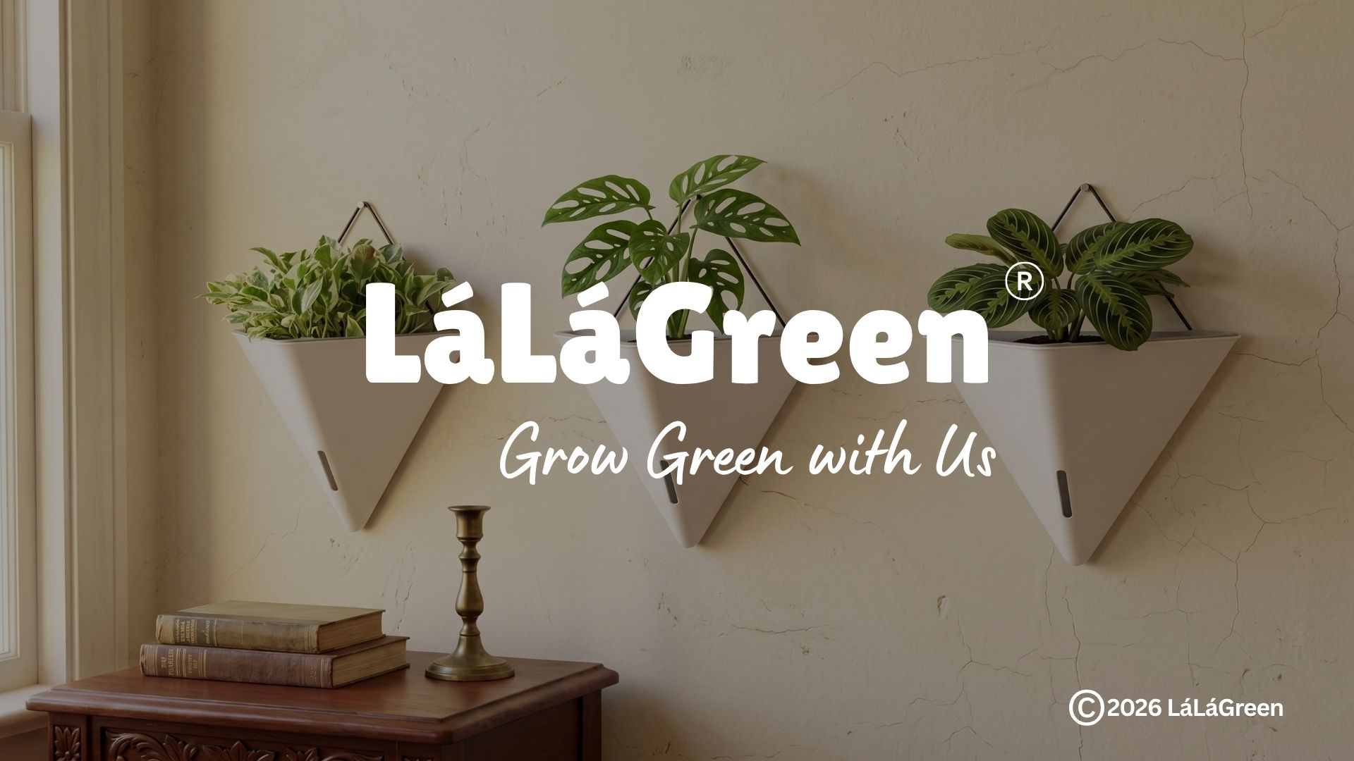 Amazon.com: LaLaGreen Wall Planters for Indoor Plants - 4 Pack, 12