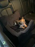 CADEIRA TRANSPORTE PARA PET MODERNPET CAR SEATS DESIGN - PRETO - TAM. M