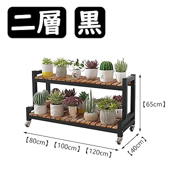 Amazon.co.jp: ESOYAWE 多肉植物 観葉植物ラック フラワー