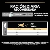 Ver la foto 6
