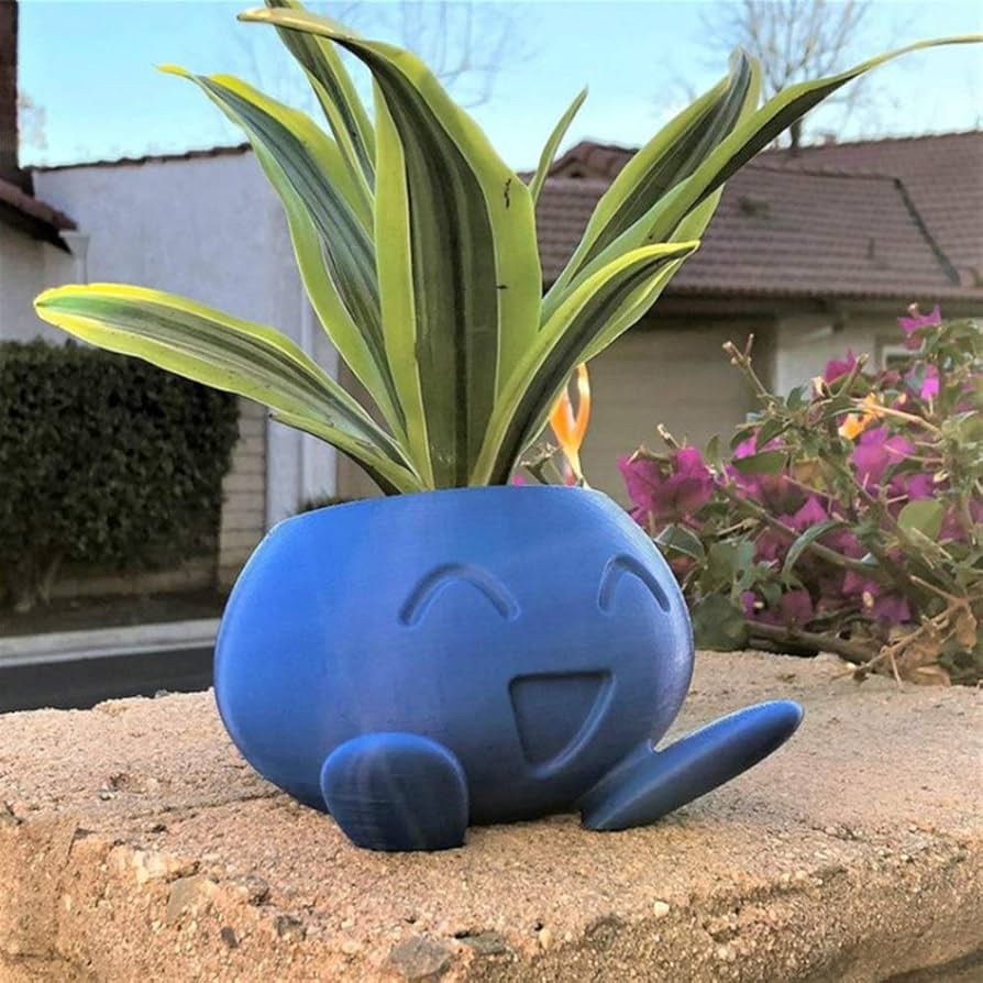 Amazon.co.jp: 植木鉢 プランターの花ジューシーなジューシーな