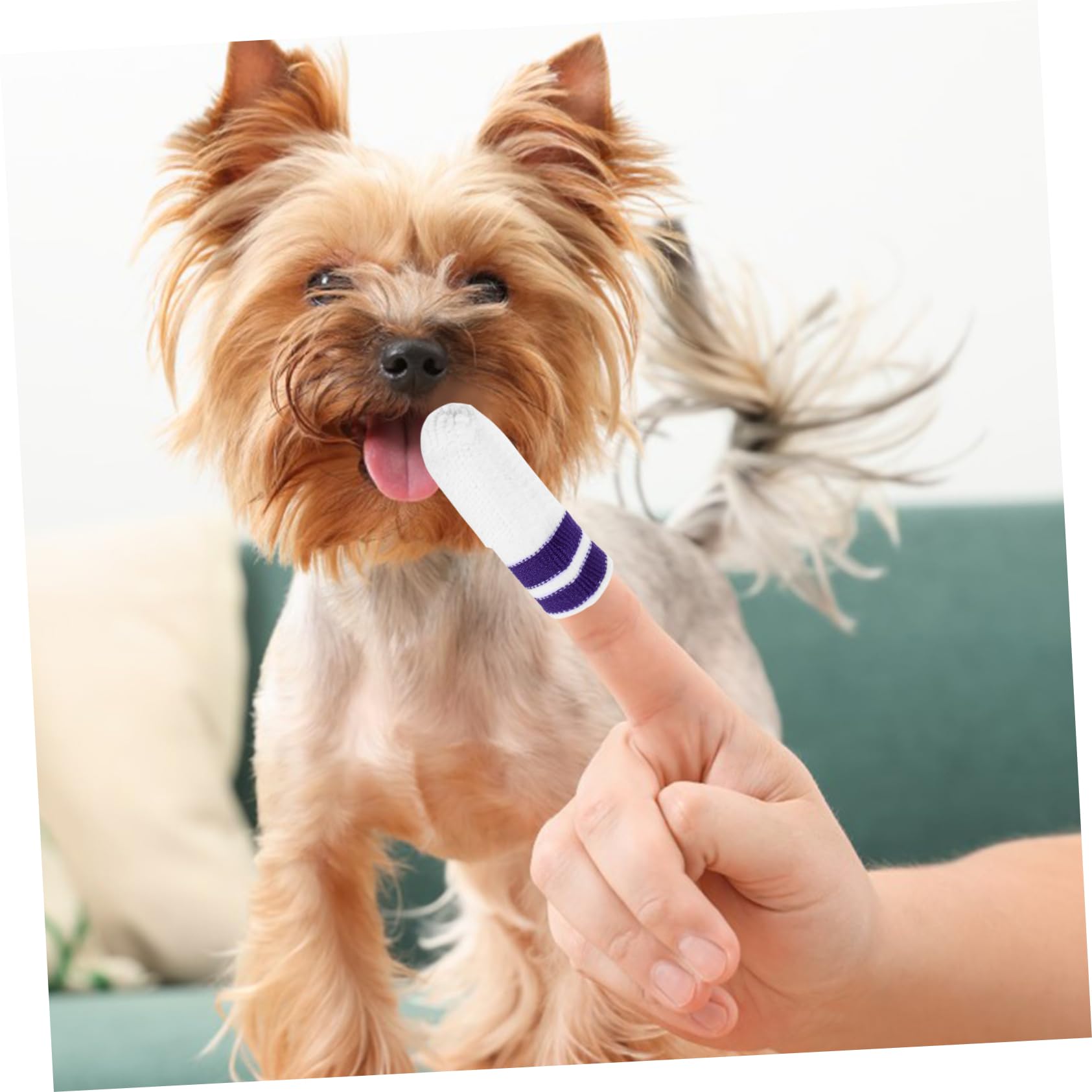 YARNOW Lot De 4 Brosses À Dents Pour Animaux De Compagnie Brosses À Dents Pour Chiens Et Chats Lingettes Buccales En Nylon Lot De 6 Brosses À Dents Pour Animaux De Compagnie