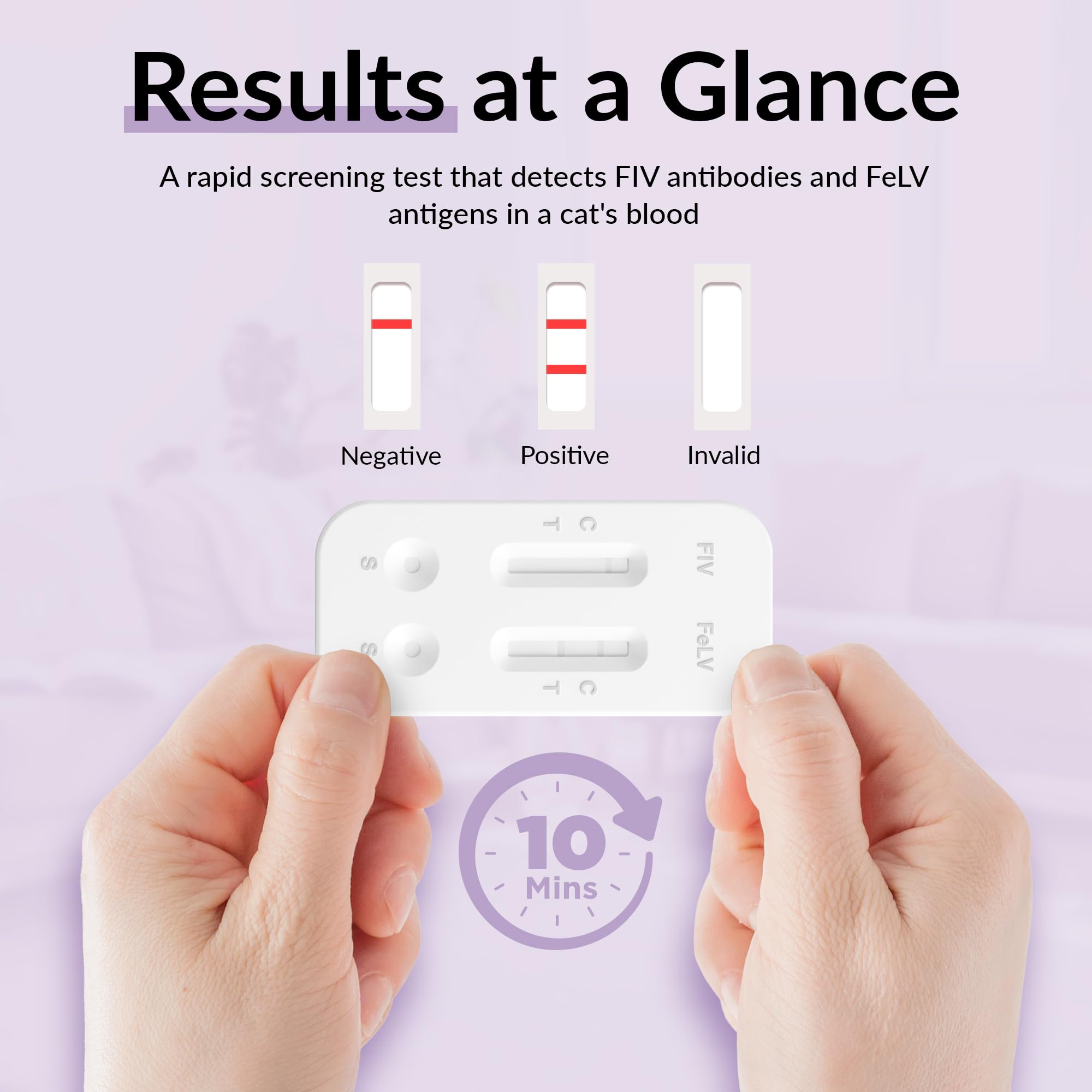getTested Virus-Kombotest für Katzen (FIV und FeLV), Heimtest, Schnell-Antigen-Testkit für Kätzchen und Katzen, einfache Blutscreening-Lösung, schnelle und genaue Ergebnisse in 10 Minuten
