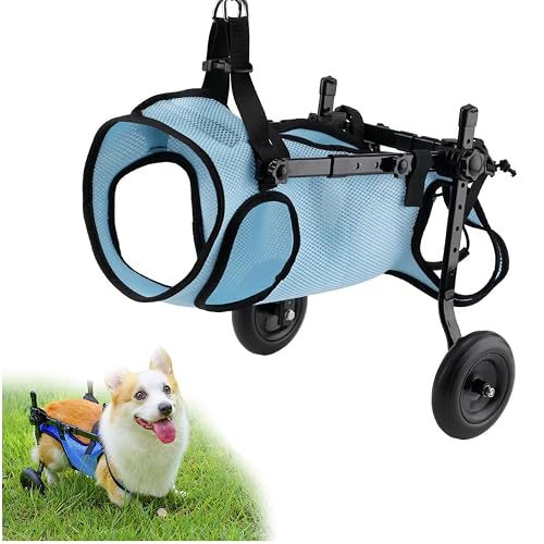 ZQBXHDZW Silla De Ruedas para Perros,Patas Traseras,2 Ruedas,Ayuda Caminar Una Pata Delantera Lesionada…