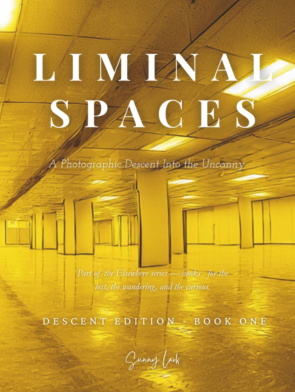 Liminal Spaces A Photographic Descent Into the Uncanny: Descent Edition · Book One: Backrooms-Inspired Liminal Horror Photography Book, Uncanny Art Book, Visual Gift (The Elsewhere Series)