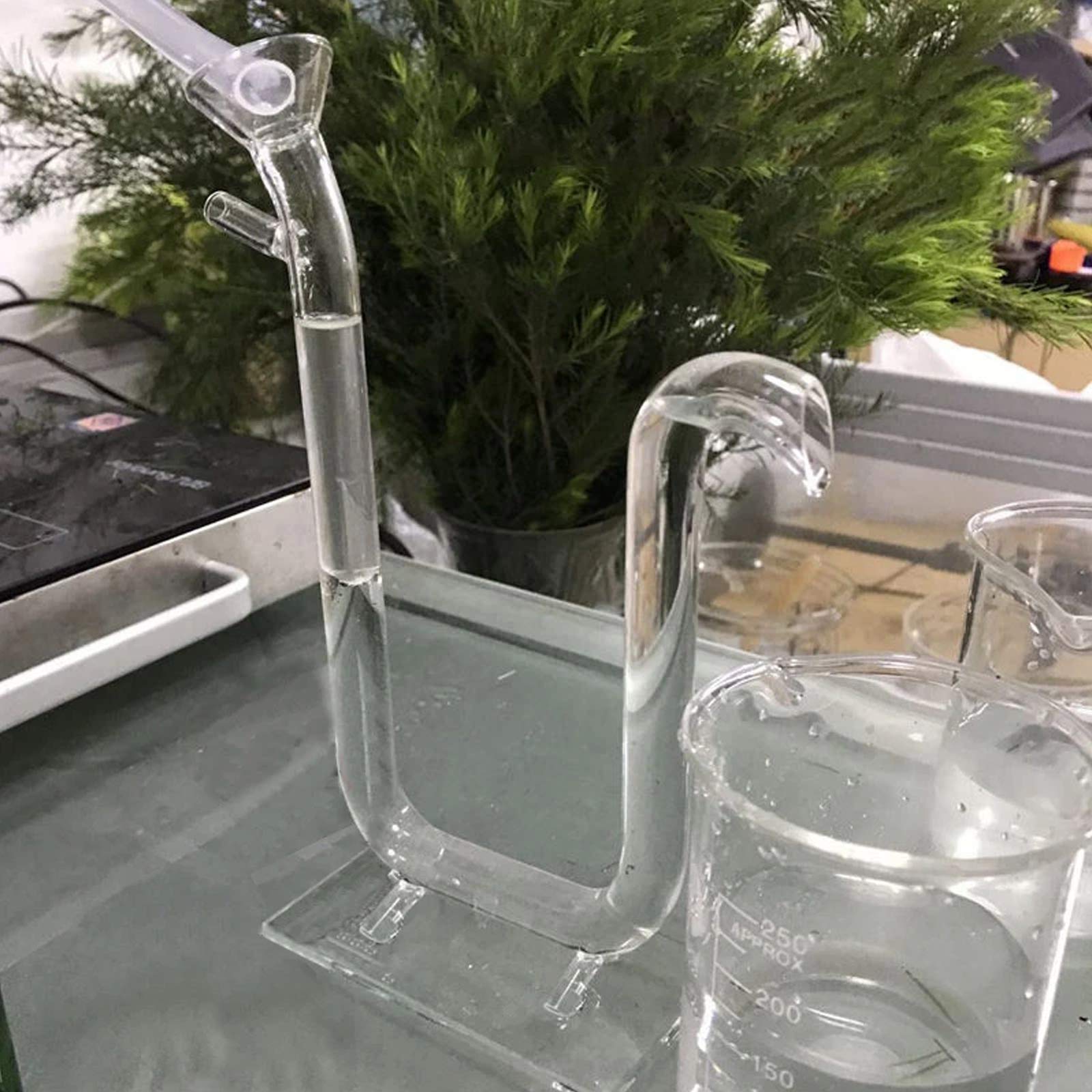 YUEWO Home/Lab Lavender Pure Dew Rose Plant Pure Water Essential Oil Pipe Acrylic Base Dew Separator Collector Glassware