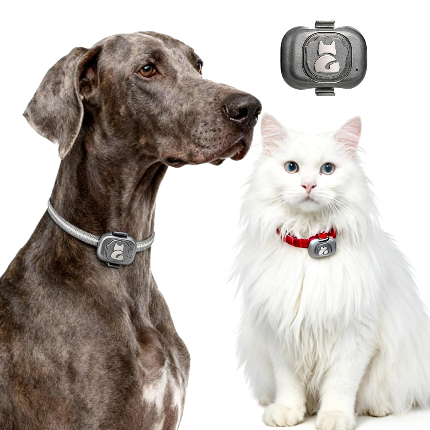 Localizzatore GPS per Cani e Gatti Impermeabile con App Gratuita – Tracciamento in Tempo Reale, Allarme Perimetrale, Cronologia Spostamenti Funziona con Scheda Nano SIM 2G