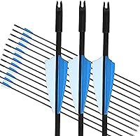 GPP Beginner's First Archery Arrows - 30" Fiberglass Target Arrows, 12 Pack for Youth, Kids & Adults, Durable Practice Arrows