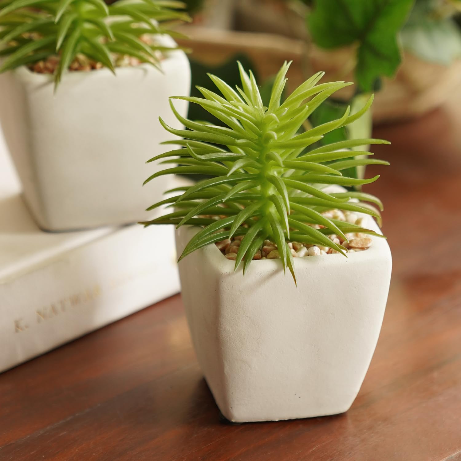 PURE HOME + LIVING Green Artificial Cactus Succulent Plant in Cement Pot-image-44