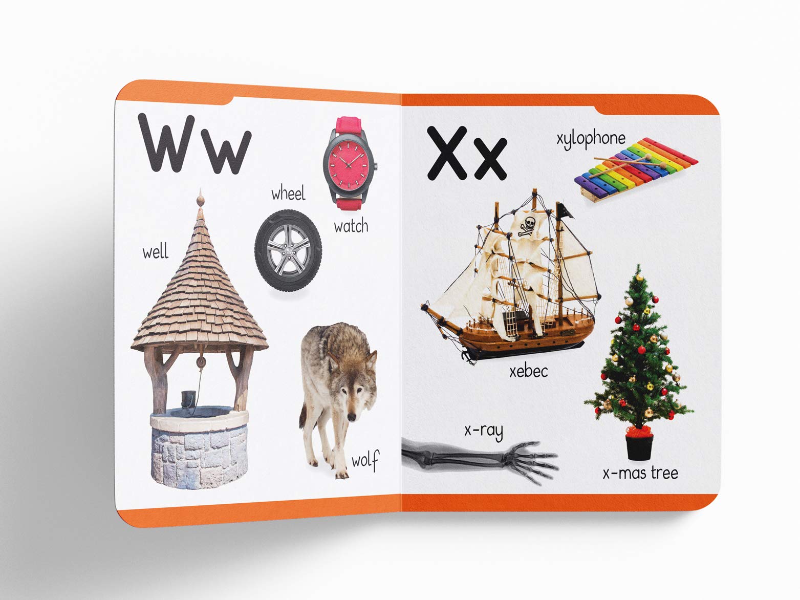 My First Padded Book of Alphabet: Early Learning Board Book for Kids | Learn ABC with Bright and Colorful Pictures | Durable Padded Board Book for Babies, Toddlers & Preschoolers | Ages 0β5 Years 4