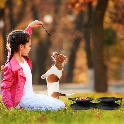 Miniatura 7 de WINSEE - Cuencos plegables para perros con agua, portátil, para alimentar alimentos para mascotas, gatos, plegable, expansible, sin derrames, tapete