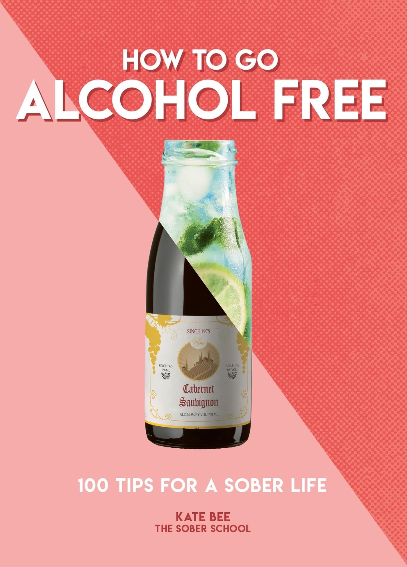 How to Go Alcohol Free 100 Tips for a Sober Life by Kate Bee (Paperback Book)