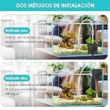 Ver la foto 6