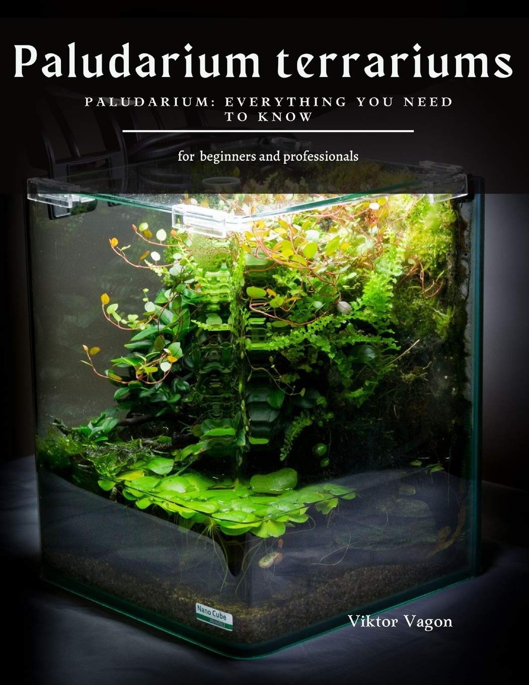 Buy Paludarium terrariums Paludarium Everything You Need To Know