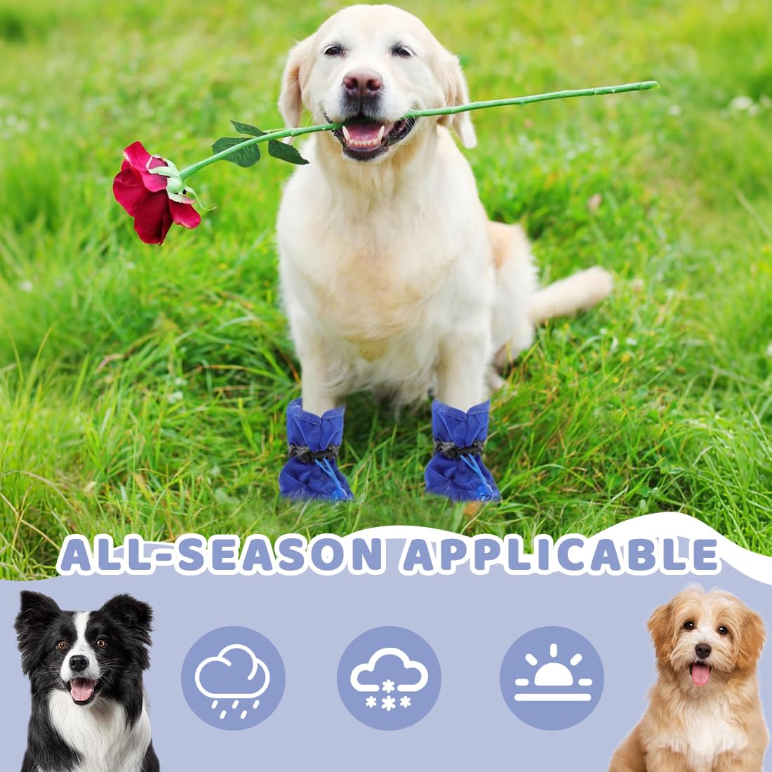 Lot de 4 bottes pour Cana Paw Protector, chaussettes antidérapantes pour chiens, chaussures pour chien avec sangles réfléchissantes, chaussures pour réglables, chaussures pour protecteurs de