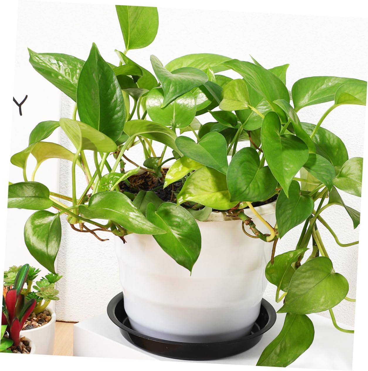 balacoo 64pcs Plant Saucer Tray Round Pot Trays for Use Flower Pot Base Heavy Duty Drainage for Gardening and Home Decor