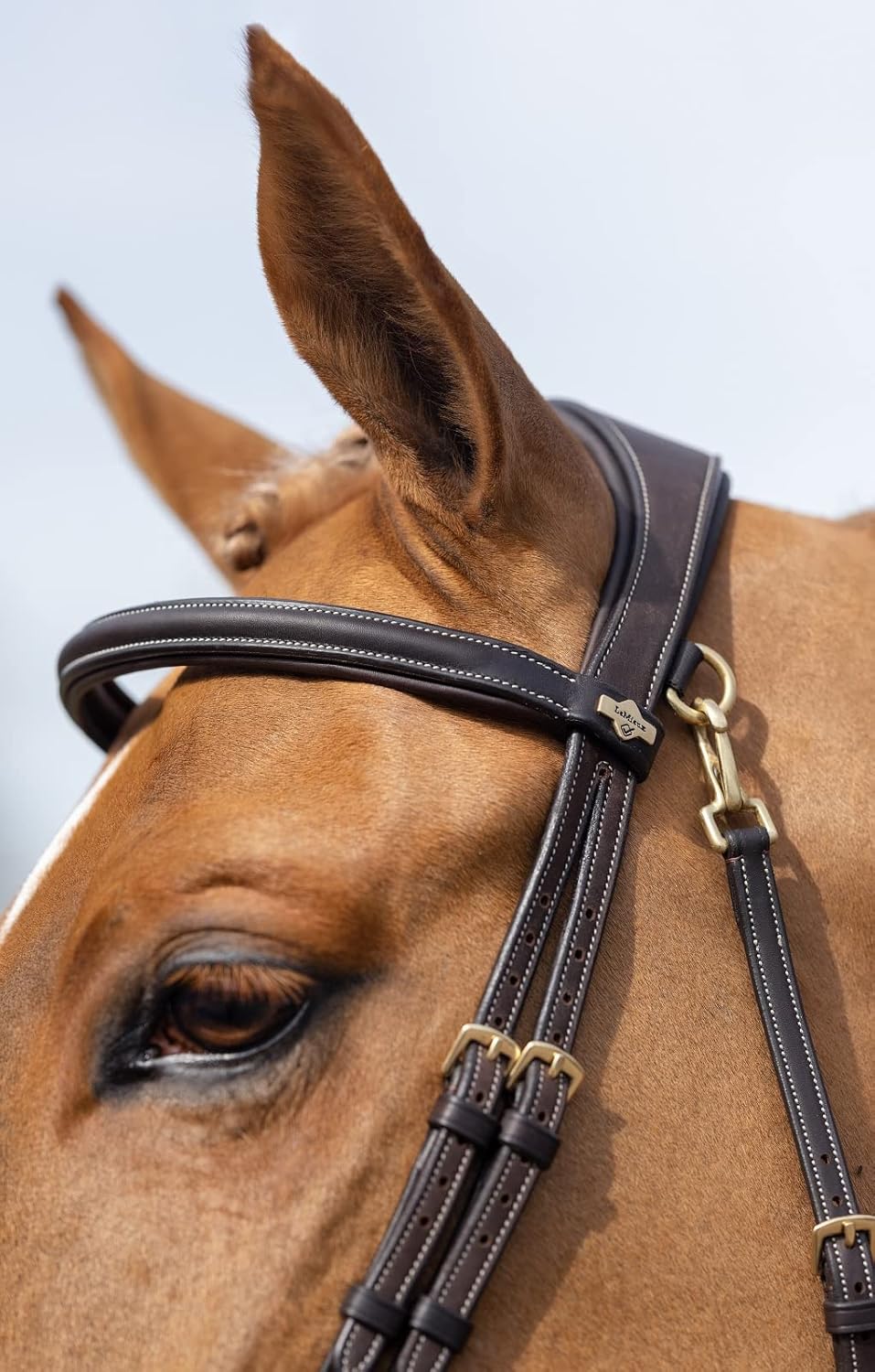 LeMieux Kudos Work Bridle