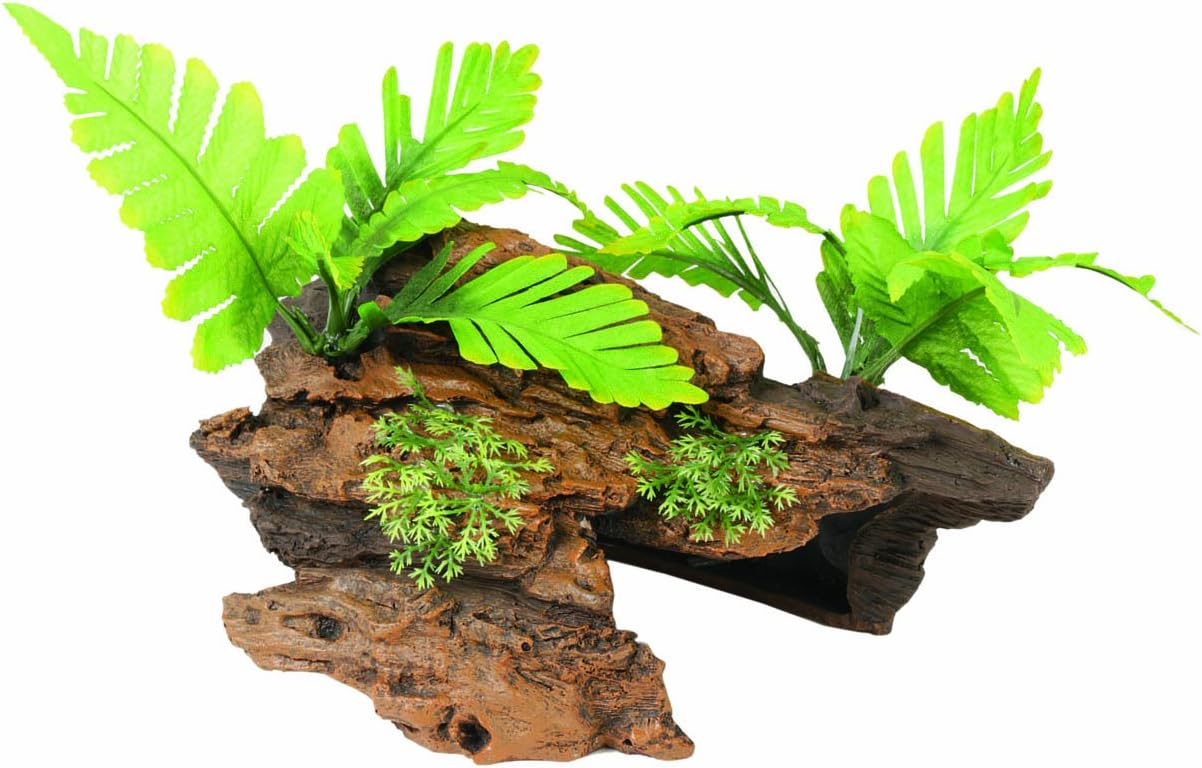 Marina Naturals Malaysian Driftwood with Plants, Large